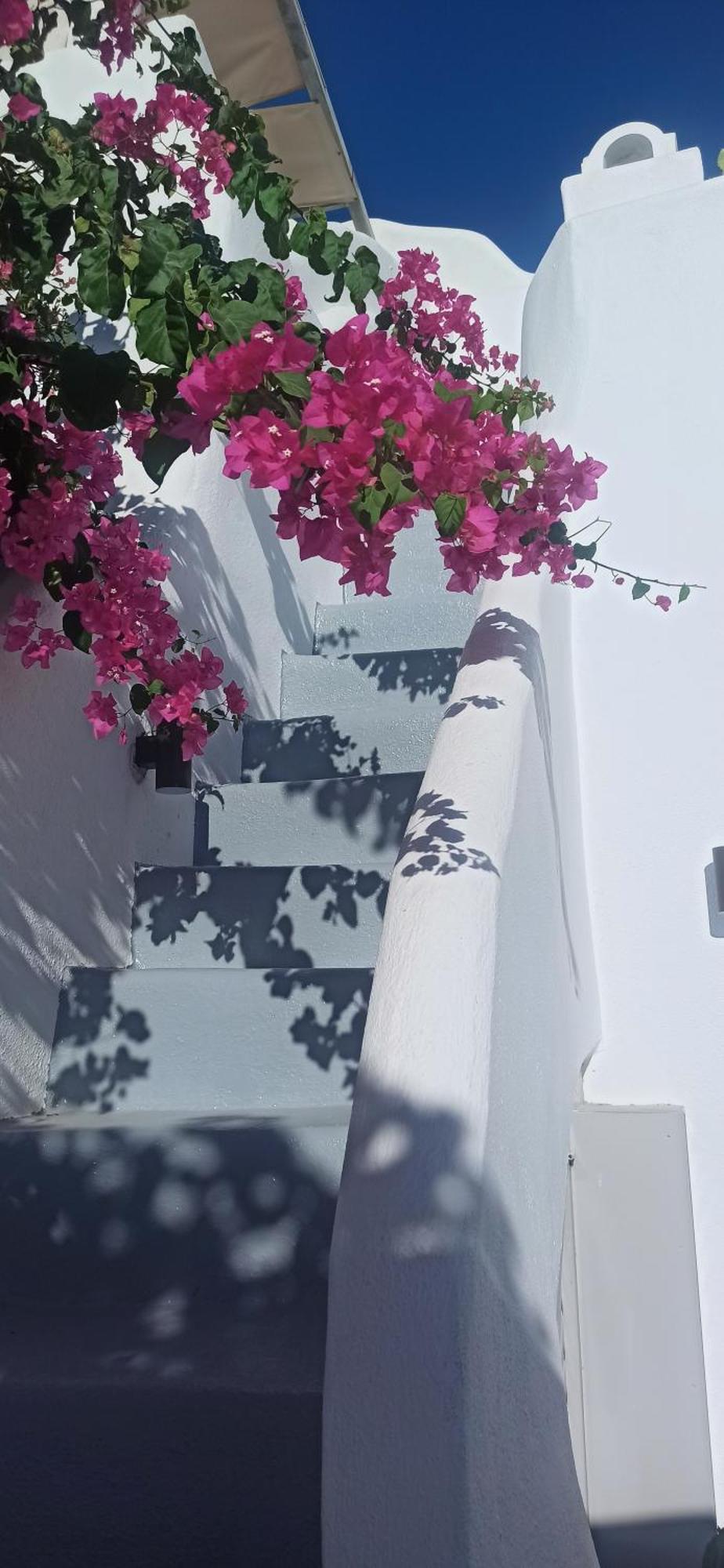 Apartment Aidos Santorini *