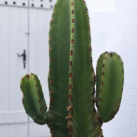 מגלוחורי Aidos Villa Santorini מראה חיצוני תמונה
